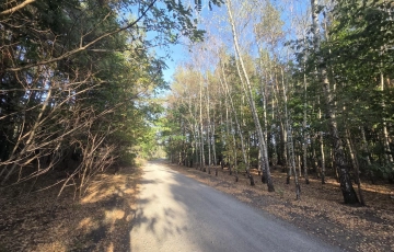 Zdjęcie główne ogłoszenia wz na 5 domów, prywatny las, lokalizacja