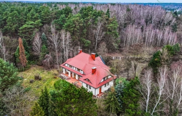 Zdjęcie główne ogłoszenia Strzeniówka 7000 m2 gruntu do własnej aranżacji.