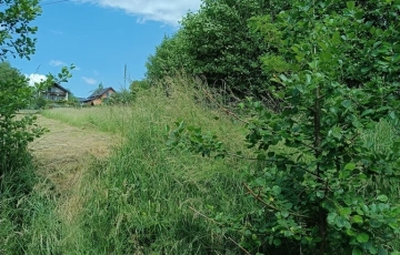 Zdjęcie główne ogłoszenia Wieliczka Sułów działka rolna przy asfalcie