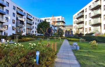 Zdjęcie główne ogłoszenia 3 pokoje | 54 m2 | po remoncie | rozkładowe