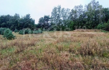 Zdjęcie główne ogłoszenia Okazja - działki budowlane w Domasławicach