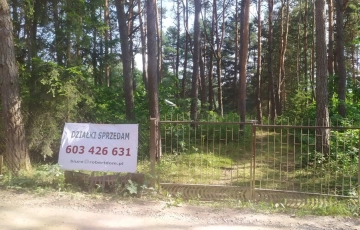 Zdjęcie główne ogłoszenia Działka w lesie.