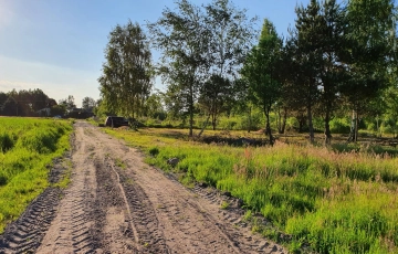 Zdjęcie główne ogłoszenia 7 działek, ul. Szlachty, drzewa, niedługo MPZP