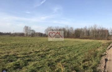 Zdjęcie główne ogłoszenia ORNETA UL. KRZYKAŁY - DZIAŁKI BUDOWLANE 2000 M2, P