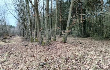 Zdjęcie główne ogłoszenia Atrakcyjny teren do zabudowy mieszkalnej