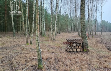 Zdjęcie główne ogłoszenia Działka w otoczeniu lasu, nad Zalewem Siemianówka