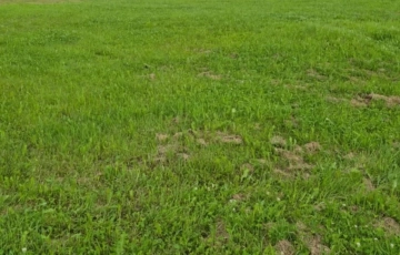 Zdjęcie główne ogłoszenia Działka Budowlana (400 m2) okolica Samotworu MEDIA (Gałów)