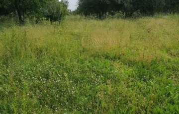 Zdjęcie główne ogłoszenia Działka Budowlana (2000 m2) Okolice Lotniska MEDIA (Wrocław)