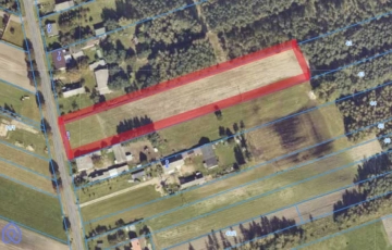 Zdjęcie główne ogłoszenia Duża działka na sprzedaż!- Dąbrowa gm. Dobra