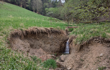 Zdjęcie główne ogłoszenia Działki inwestycyjno-budowlane Duszniki-Zdrój, SKI