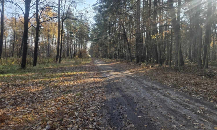 pod produkcję, magazyny lub usługi | Zdjęcie główne