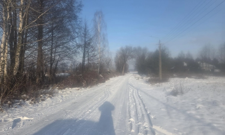 MPZP, spokój, blisko stawy i kąpielisko | Zdjęcie główne