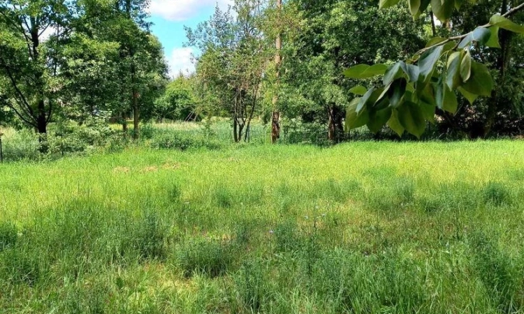 Działka Budowlana (4169 m2) Okolice Prostej (Ligota Piękna) | Zdjęcie główne