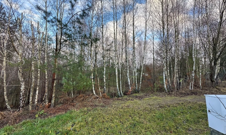 Syndyk sprzedaje nieruchomość gruntową | Zdjęcie główne