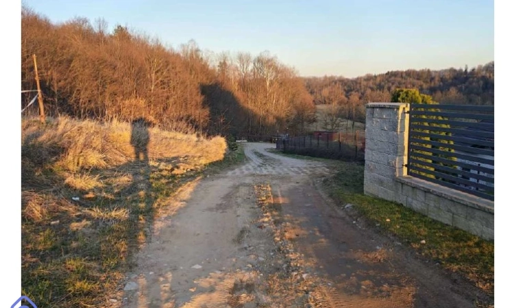 Syndyk sprzeda nieruchomość gruntową | Zdjęcie główne