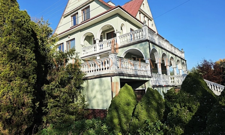 Rezydencja z potencjałem komercyjnym | rzeka | las | Zdjęcie główne