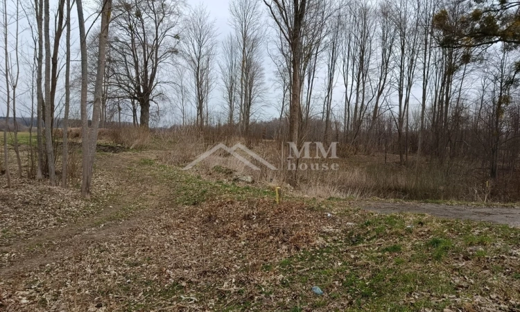 Żelazna Góra działka budowlana. | Zdjęcie główne