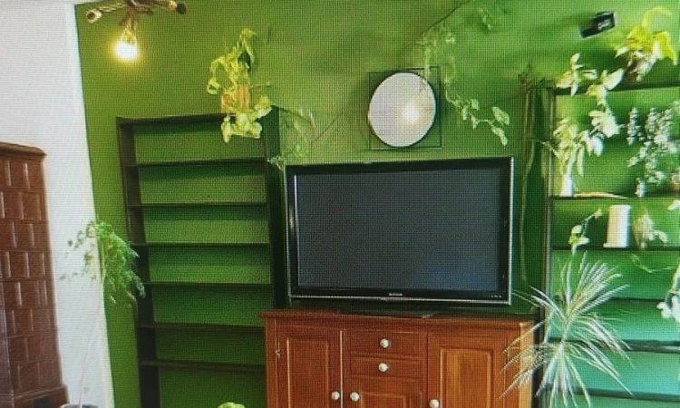 2pok, 58met, okolice Zaporowskiej BALKON/PIWNICA (Wrocław) | Zdjęcie główne