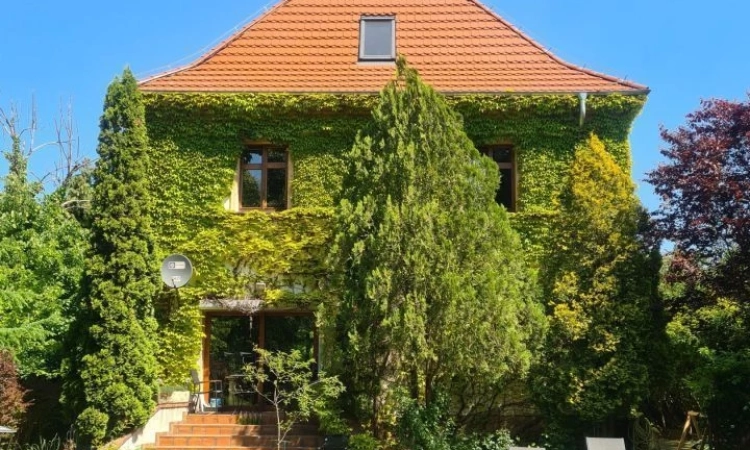 10pok, 480met, Tarninów TARAS / PIWNICA / GARAŻ / OGRÓD (Legnica) | Zdjęcie główne