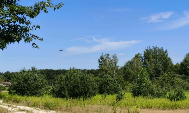 Działka budowlana w Skrzynce, gmina Szczucin | Zdjęcie główne