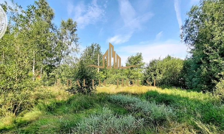 Działka budowlana Spokojna okolica Donimierz | Zdjęcie główne