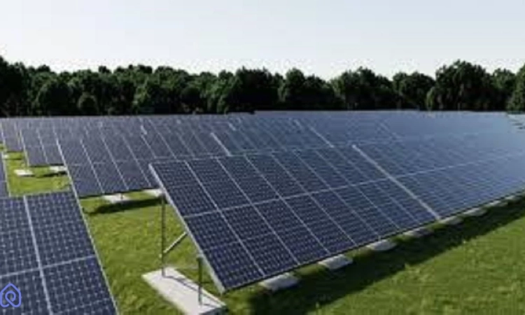 Działka Inwestycyjna (6039 m2) Okolice Lubina MEDIA (Obora) | Zdjęcie główne