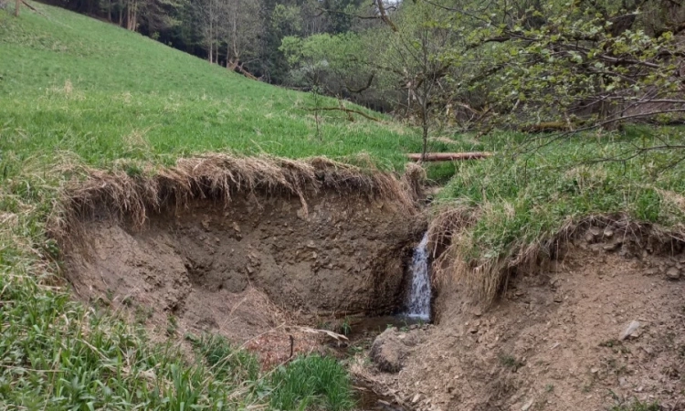 Działki inwestycyjno-budowlane Duszniki-Zdrój, SKI | Zdjęcie główne