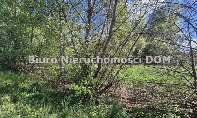 Działka budowlano-rolna Korwinów gm Poczesna | Zdjęcie główne