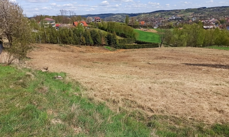Działka rolno-budowlana (5600m2) ul. Leśna MEDIA (Tuchów) | Zdjęcie główne