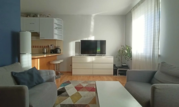 1pok, 33met, okolice Bagatela 2009 (Wrocław) | Zdjęcie główne