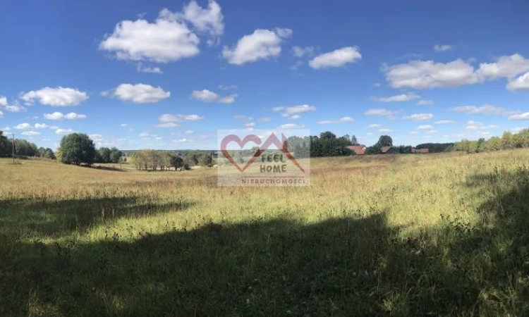 WEJDYKI K/RYNU DZIAŁKI ROLNE Z WARUNKAMI ZABUDOWY | Zdjęcie główne