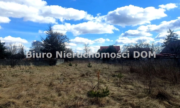 Działka budowlano leśna gm. Olsztyn | Zdjęcie główne