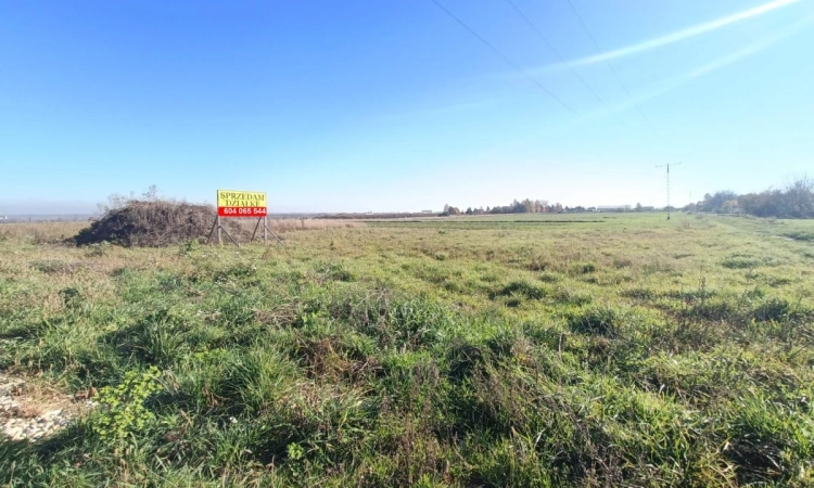 Połączenie terenów zielonych z świetną komunikacją | Zdjęcie główne