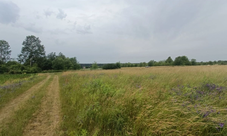 ⭐Twój dom w zielonej okolicy, nowe osiedle i droga | Zdjęcie główne