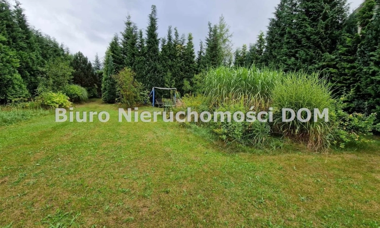 Gorzelnia Nowa - działka z nasadzeniami, domkiem | Zdjęcie główne