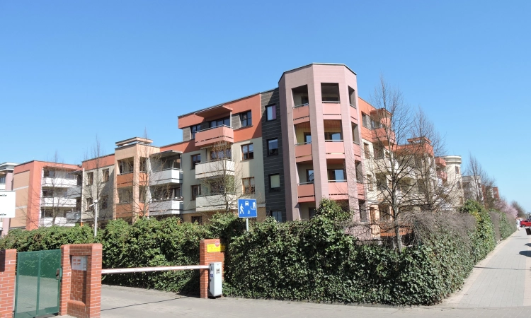 1pok, 22met, okolice Sarniej PIWNICA/2006 (Wrocław) | Zdjęcie główne