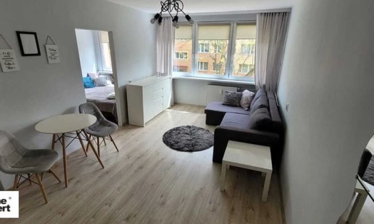 2pok, 36met, Okolice Lotniczej PIWNICA (Legnica) | Zdjęcie główne