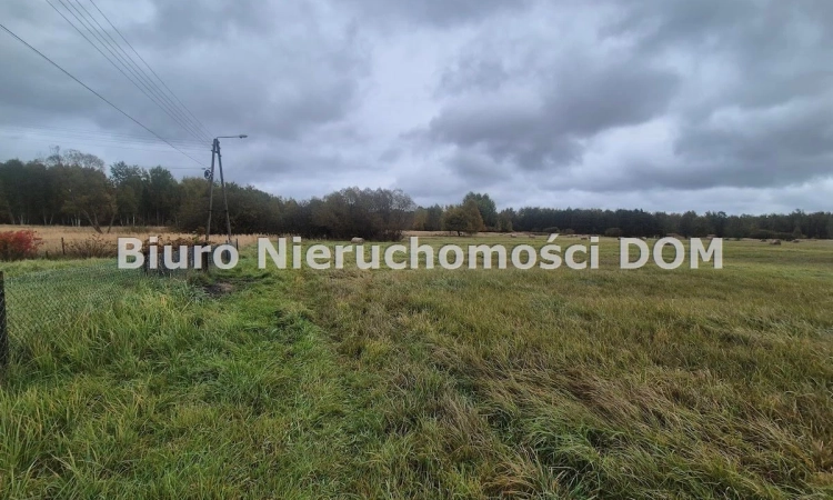 sprzedam działkę rolną | Zdjęcie główne