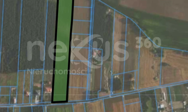 ATRAKCYJNA I DUŻA DZIAŁKA - ZBYTOWA | Zdjęcie główne