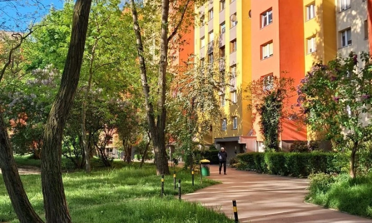 2pok, 50met, okolice Balonowej BALKON/PIWNICA/WINDA (Wrocław) | Zdjęcie główne