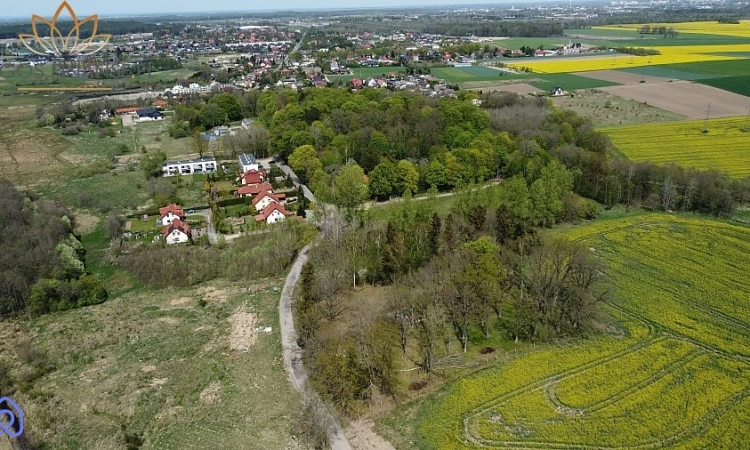duża działka w Nowych Bielicach | Zdjęcie główne