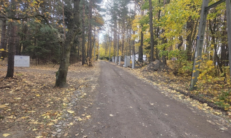 nieduża przy Klonowej, media, drzewa, lokalizacja | Zdjęcie główne