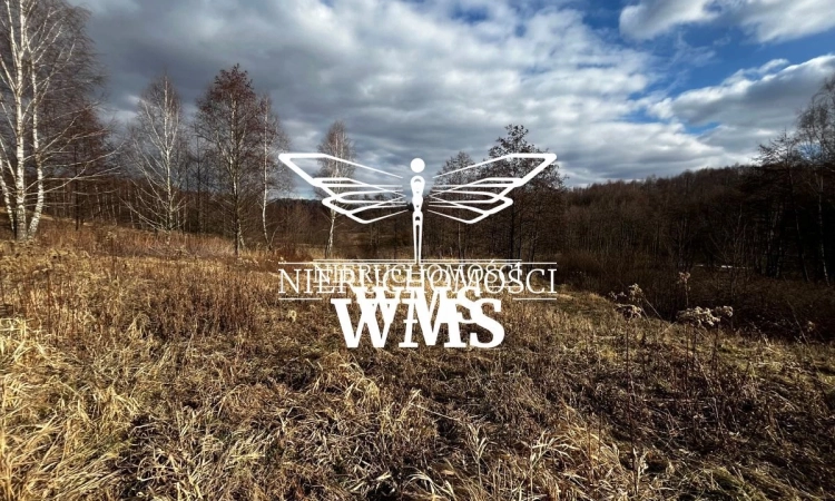 Duża działka, Przybyszówka Rzeszów | Zdjęcie główne