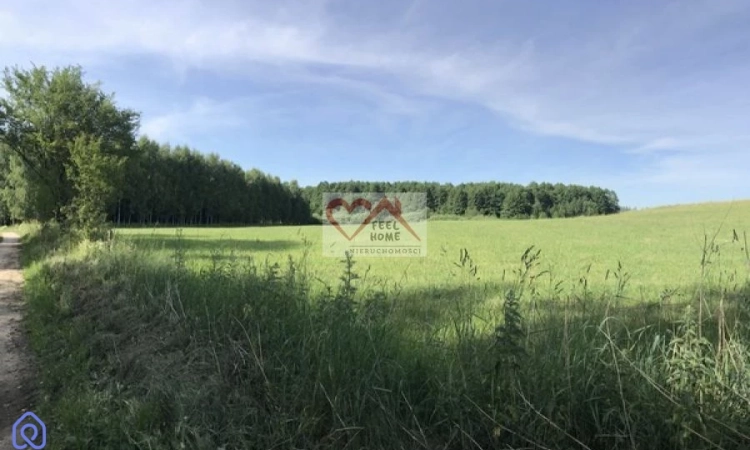 MICHAŁKI - DZIAŁKI Z WARUNKAMI ZABUDOWY NAD JEZIOR | Zdjęcie główne