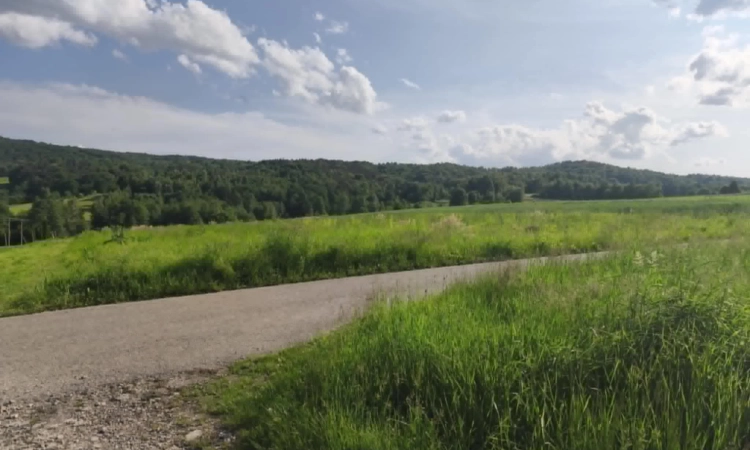 Lipnica Dolna - 7 hektarów 33 ary | Zdjęcie główne