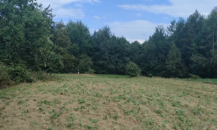 Atrakcyjna działka w Dobczycach 27ar | Zdjęcie główne