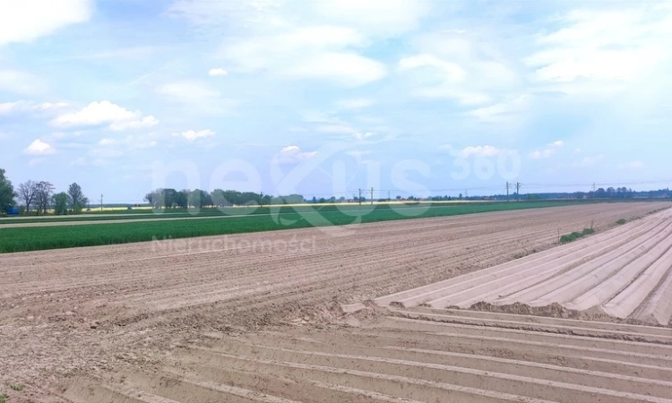 Działka 7374m2 ,budowlano-rolna, Dąbrowa Oleśnicka | Zdjęcie główne