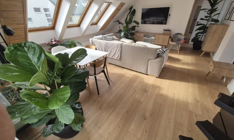 4pok, 80met, Okolice Kłodzkiej ANTRESOLA/BALKON (Bielany Wroc.) | Zdjęcie główne