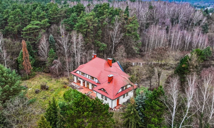 Strzeniówka 7000 m2 gruntu do własnej aranżacji. | Zdjęcie główne