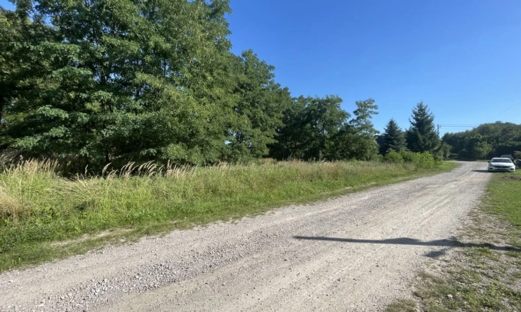 ⭐WZ⭐Media⭐Przy rzece Czarna Nida⭐Prostokątna⭐Płask | Zdjęcie główne